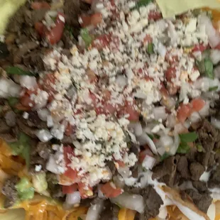 Carne Asada Fries