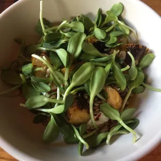 Stracciatella, Zephyr Squash, Sunflower, Aleppo, Mint