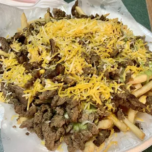 Carne Asada Fries