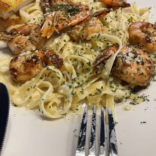 Pasta Alfredo Platter