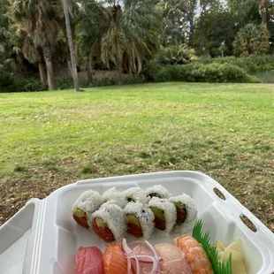 Enjoying lunch at the Fullerton Arboretum