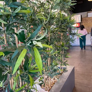 Fake bamboo