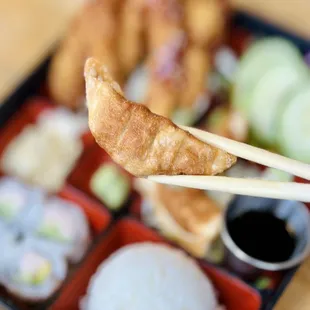 Gyoza