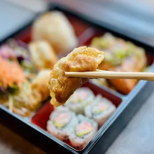 Pork and Vegetable Gyoza,  Teriyaki Salmon Bento Box