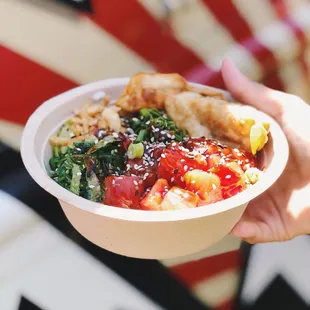 Pokemon bowl with two dumplings