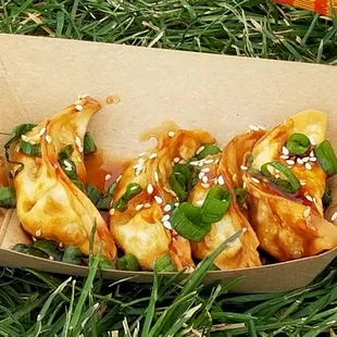 chicken wings and fried chicken, food