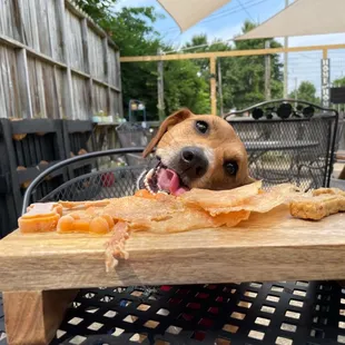Treat flights for the pups!