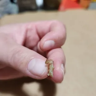 Sausage pieces were sliced in like thirds.