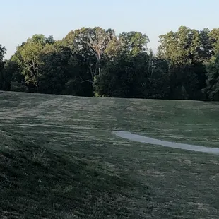The Golf Course