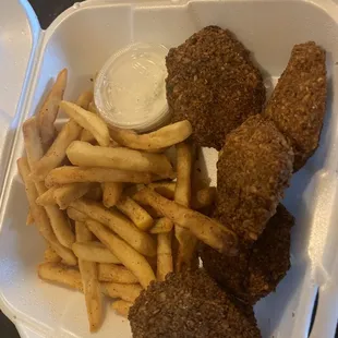 Falafel and seasoned fries