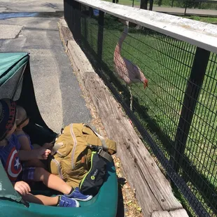 The kids enjoying animals as soon as we walked in!
