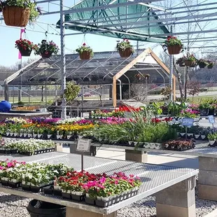Our amazing Garden Center!