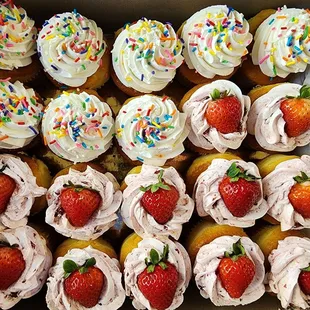 Vanilla and strawberry cupcakes