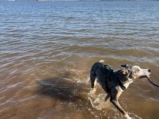 Wes Watkins Campground