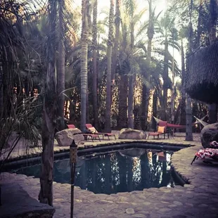 Fabulous pool at the Ranch!