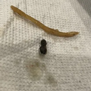 Bug that was in the food