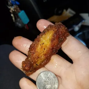 Tiny, mummified chicken wings.