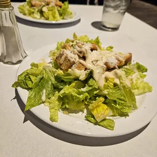 Caesar Salads