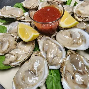 fresh oysters on half shell