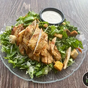 Chicken Caesar Salad