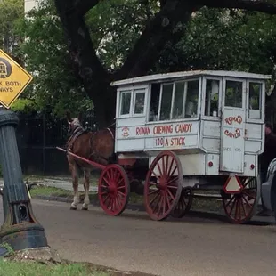 On St Charles right past Jefferson heading toward downtown