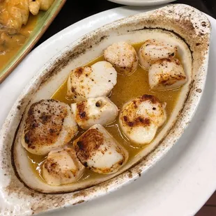 scallops in a gravy sauce