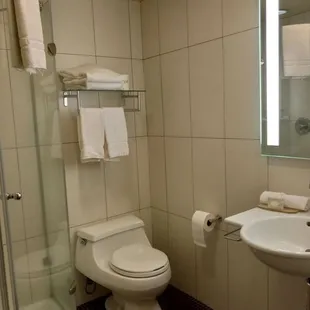 Spacious bathroom and shower