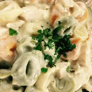 pasta, food, pasta dish