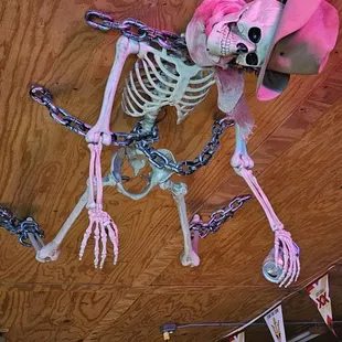 a skeleton hanging from the ceiling