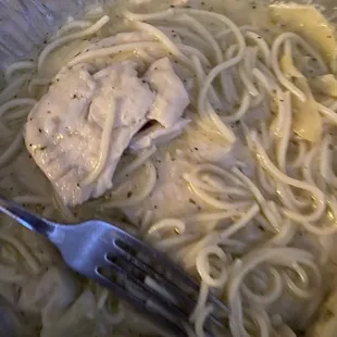 The most unseasoned plain single chicken breast in history