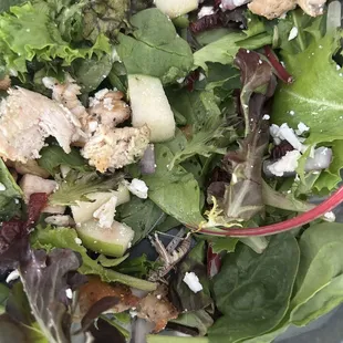 Harvest Salad