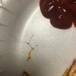 Plastic string inside pizza