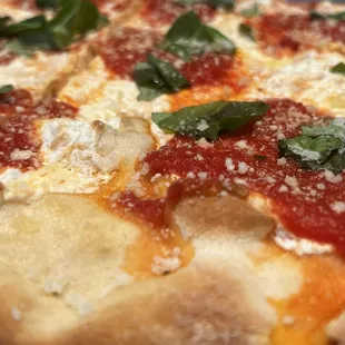 Margherita Pizza Slice