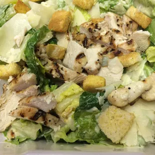 Caesar Salad
