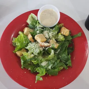 Caesar salad with the freshest and greenest lettuce I've seen in forever.