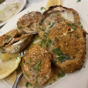 food, oysters and mussels, mussels, oysters, shellfish