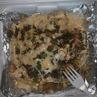 Carne Asada Fries