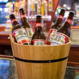 a bucket full of beer bottles