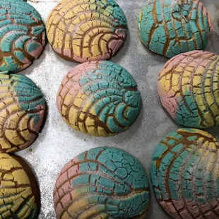 Unicorn conchas