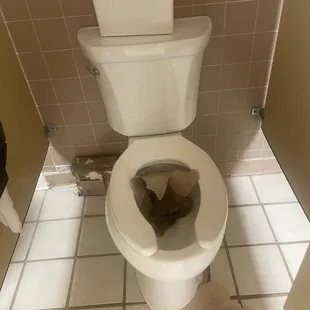 Clogged toilet
