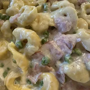 Tortellini Special