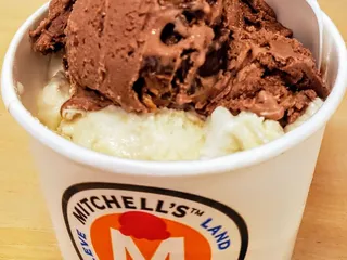 Mitchell's Homemade Ice Cream - Westlake