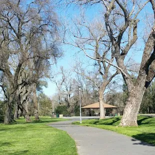 Walkway leading to picnic area