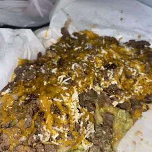 Carne Asada Fries