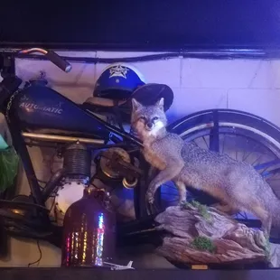 Keeping watch over the bar