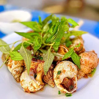 Oc Huong Rang Toi