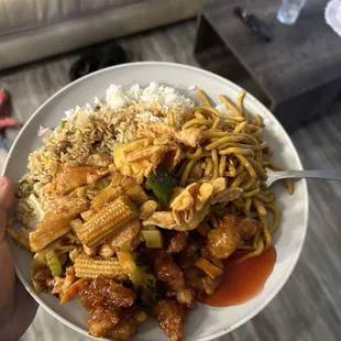 S10. Orange Flavor 26. ChiFried 25. House Special Fried Rice house 46. House Special Chow Mein Kung Po Chicken White Rice