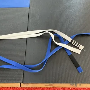 After putting in work and time, I finally earned my blue belt!