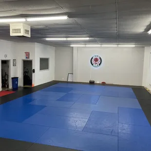 Large Mat area from entrance.