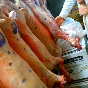 Got LAMB sure do dozens hanging in cooler